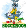 Socceroos world cup 2014