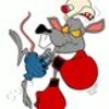 Boxing Mouse